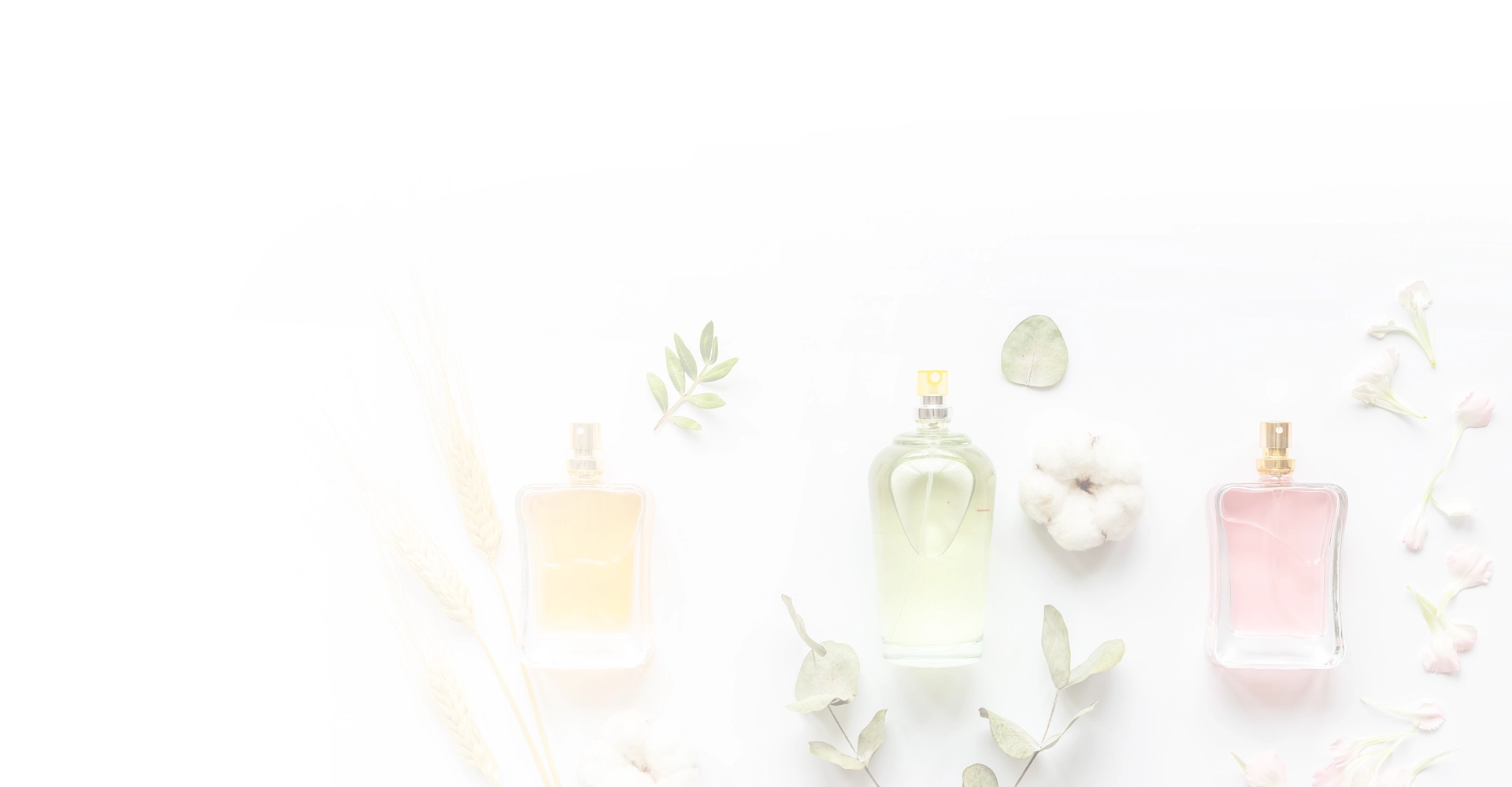 Esthétique et inspirations sensorielles